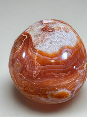 Carnelian palm