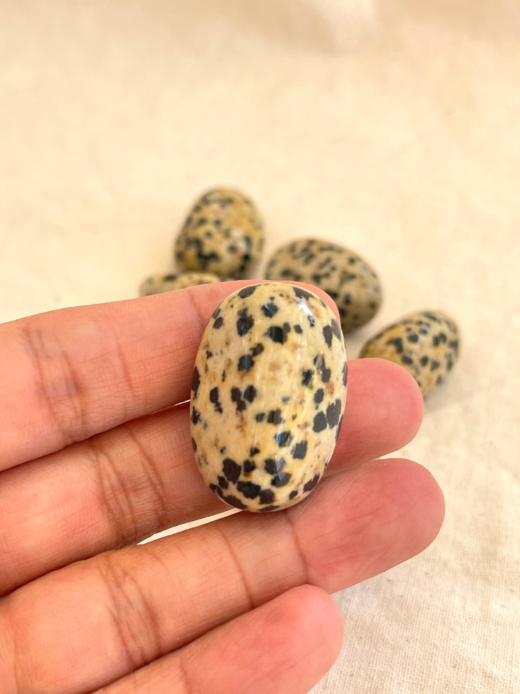Dalmatian Jasper tumbled stone